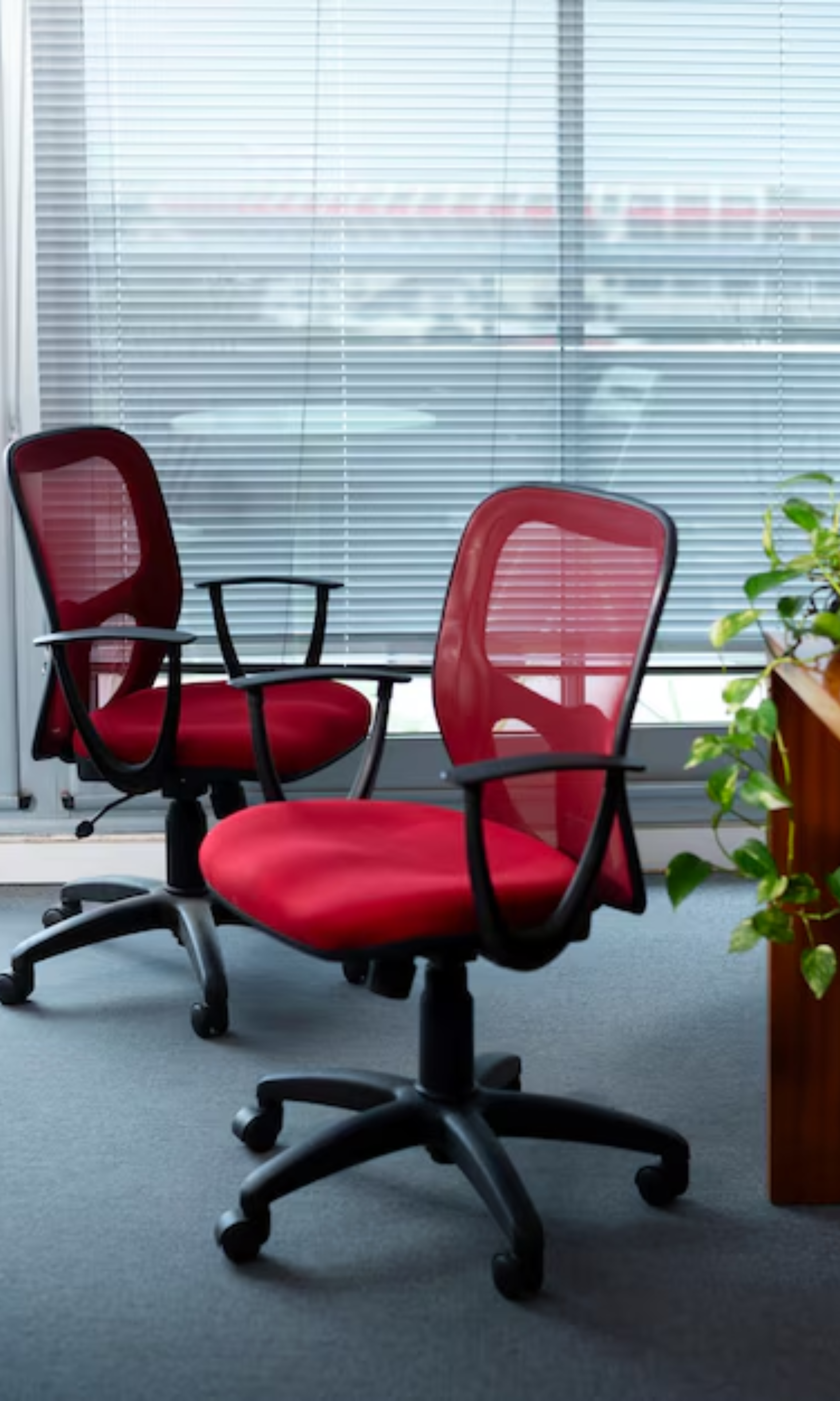 Various types of chairs